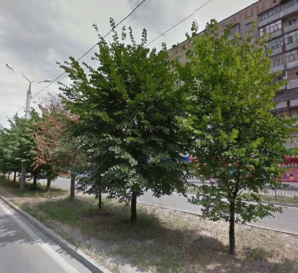 Банкомат АКИБАНКА по адресу ул. Карбышева, д. 40, оф. банка