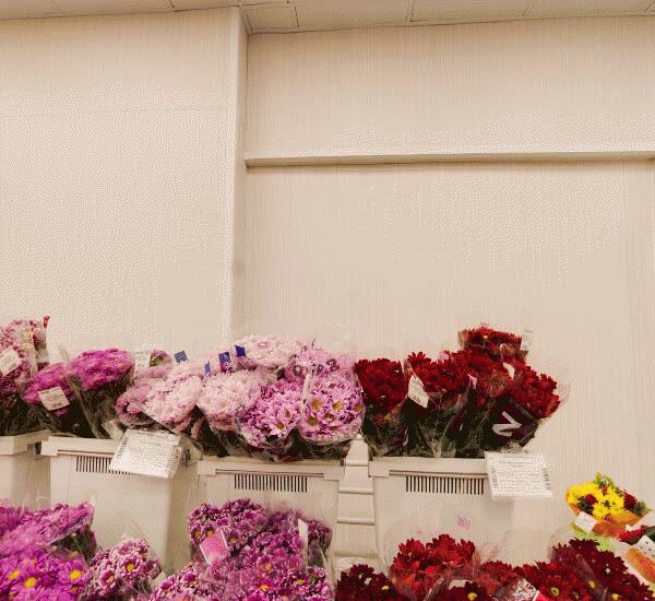 Банкомат Татсоцбанка по адресу ул. Зорге,  д. 67