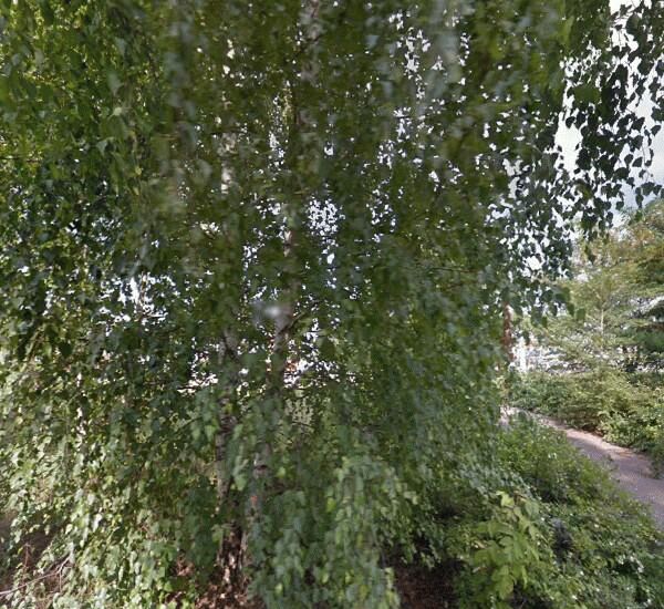 Отделение Банка Заречье по адресу Республика Татарстан,  г. Казань,  ул. Рихарда Зорге,  д. 13а